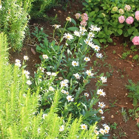 With Parking Space Punta Kriza, Cres - 383 Punta Križa