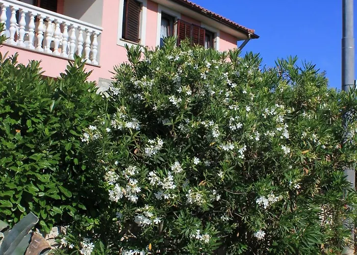 With Parking Space Punta Kriza, Cres - 383 Apartman Punta Kriza
