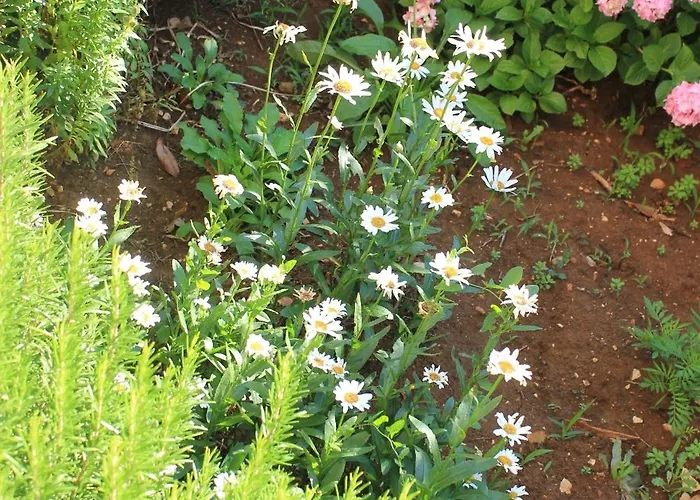 With Parking Space Punta Kriza, Cres - 383 Punta Križa