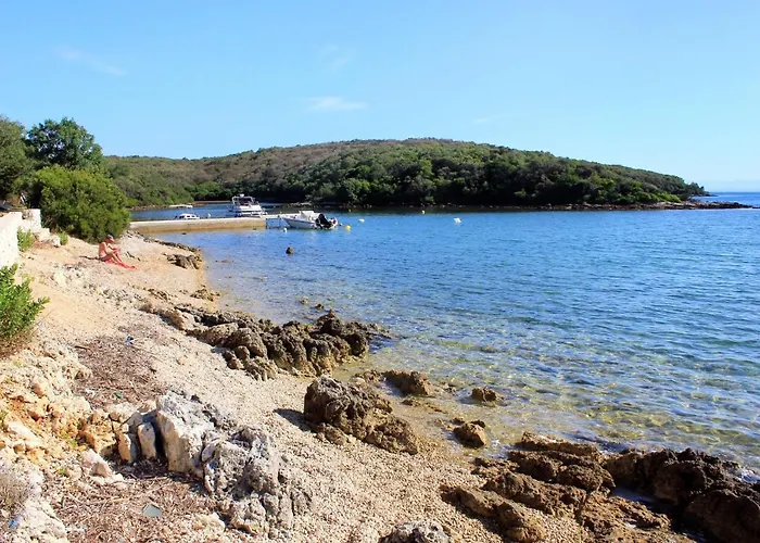 With Parking Space Punta Kriza, Cres - 383 Apartment *